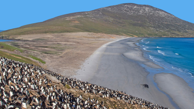 Falkland Islands coastline, South Atlantic